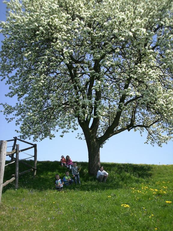 Bio-Bauernhof Haunschmid Βίλα Ardagger Markt Εξωτερικό φωτογραφία