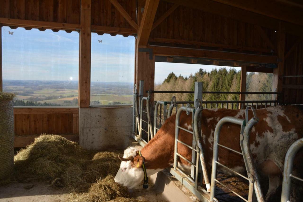 Bio-Bauernhof Haunschmid Βίλα Ardagger Markt Εξωτερικό φωτογραφία